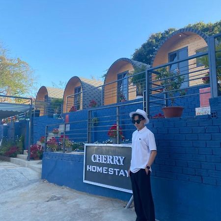 Cherry Homestay Bungalow Vũng Tàu Exterior foto